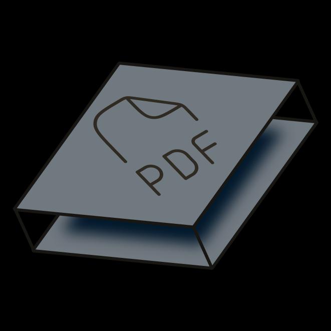 Download professional invoice PDF
